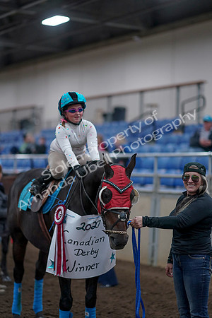 2019 Morgan Horse Show - Aug 31, 2019 - 10176