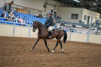 2020 - AB Morgan Horse - Sat, Sept 05 - 09302