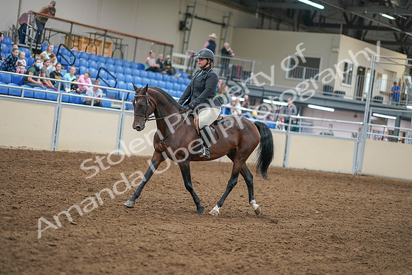 2020 - AB Morgan Horse - Sat, Sept 05 - 09302