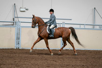 2020 - AB Morgan Horse - Sat, Sept 05 - 03041