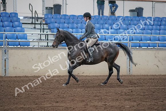 2019 Morgan Horse Show - Sept 01, 2019 - 10936_1