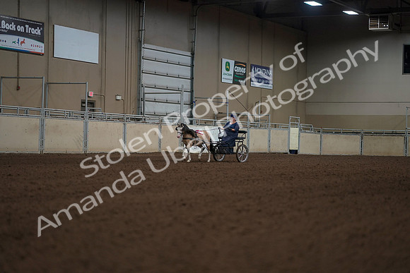 2019 Morgan Horse Show - Aug 31, 2019 - 04578
