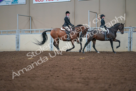 2019 Morgan Horse Show - Aug 30, 2019 - 20995
