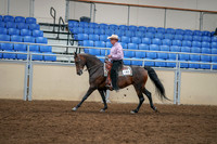 2020 - AB Morgan Horse - Sat, Sept 05 - 05668