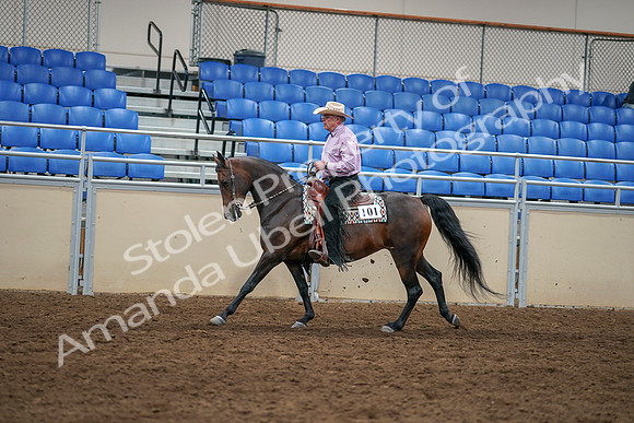 2020 - AB Morgan Horse - Sat, Sept 05 - 05668