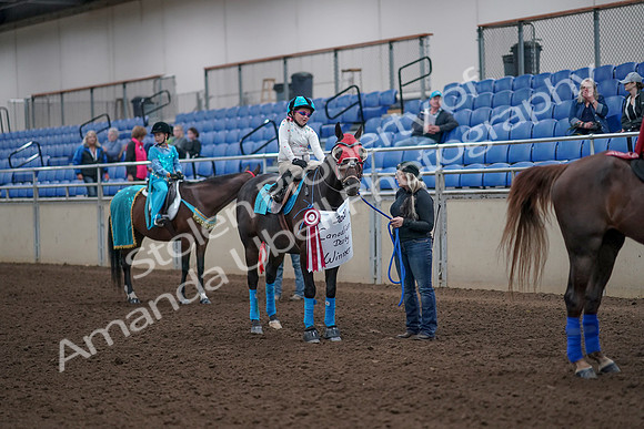 2019 Morgan Horse Show - Aug 31, 2019 - 10136
