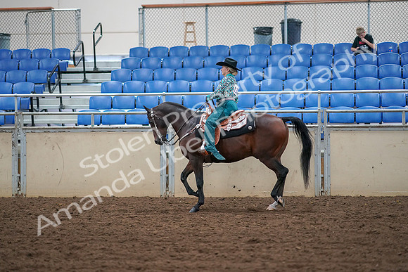 2019 Morgan Horse Show - Aug 30, 2019 - 16721