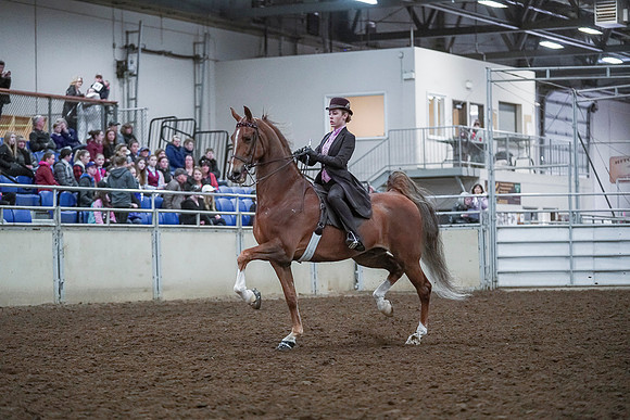 Spring Fling - Saturday - April 20, 2019  -  00415