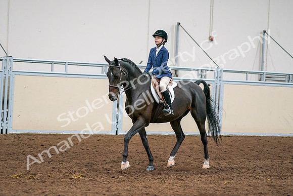 2020 - AB Morgan Horse - Sun, Sept 06 - 08175