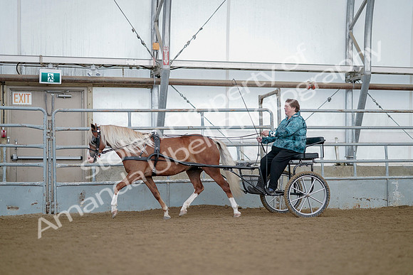 July 21, 2019 - 06702