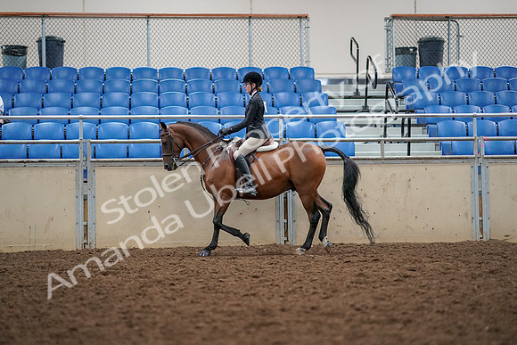 2019 Morgan Horse Show - Aug 30, 2019 - 23148