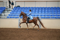 2020 - AB Morgan Horse - Sat, Sept 05 - 03326