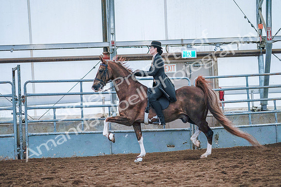 July 20, 2019 - 23850