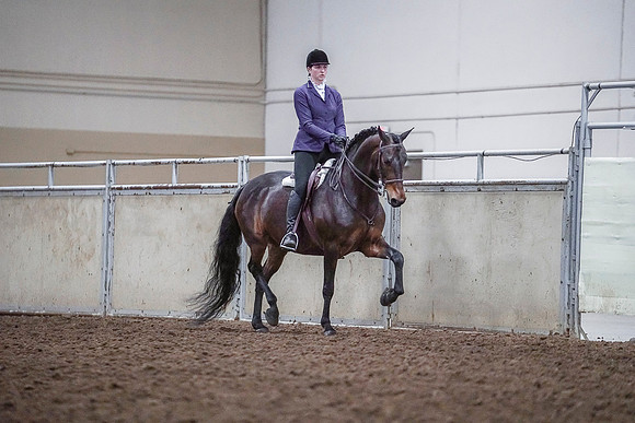 Spring Fling - Saturday - April 20, 2019  -  03821