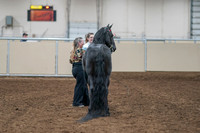 2020 - AB Morgan Horse - Sat, Sept 05 - 00107