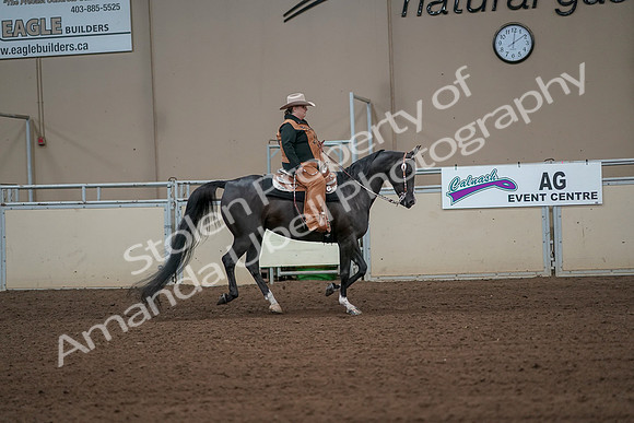 2019 Morgan Horse Show - Aug 31, 2019 - 06168