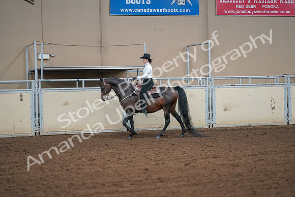 2019 Morgan Horse Show - Aug 30, 2019 - 16904
