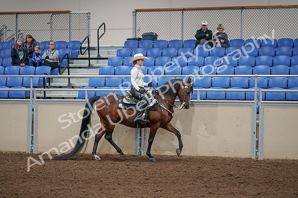 2020 - AB Morgan Horse - Fri, Sept 04 - 08445
