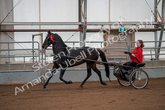 July 20, 2019 - 00320