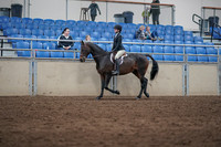 2019 Morgan Horse Show - Sept 01, 2019 - 09022