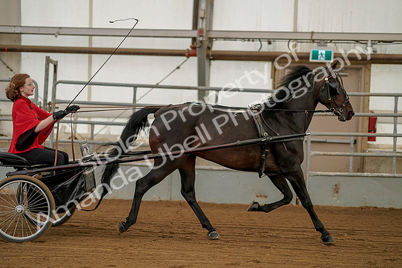 July 20, 2019 - 00254