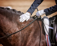 Assoc - CA-ADA Dressage Show - June 02 - 00498