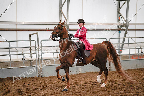 July 19, 2019 - 8935
