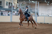 2020 - AB Morgan Horse - Fri, Sept 04 - 06232