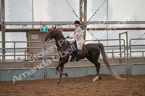 July 19, 2019 - 12846