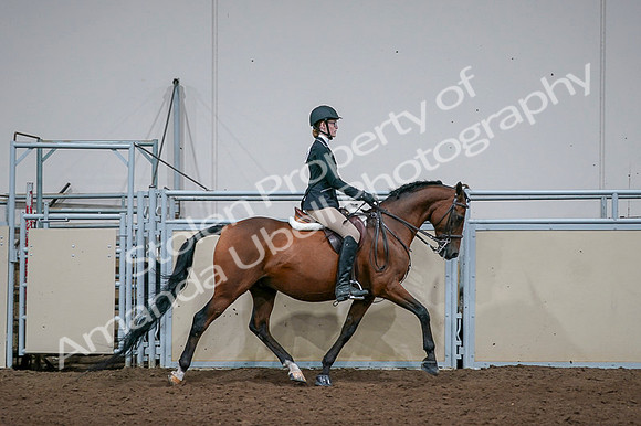 2020 - AB Morgan Horse - Fri, Sept 04 - 06023