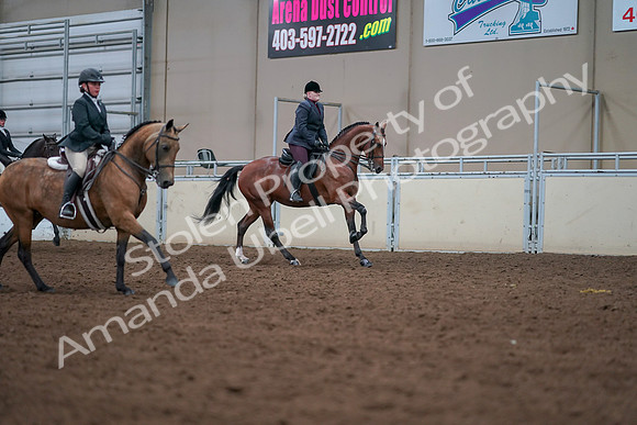 2019 Morgan Horse Show - Aug 30, 2019 - 21052