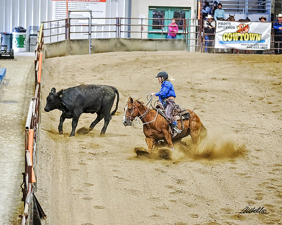 SRCHA - 9959