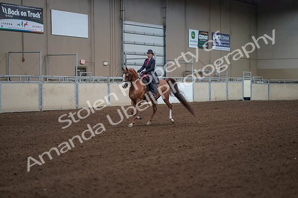 2019 Morgan Horse Show - Sept 01, 2019 - 12097