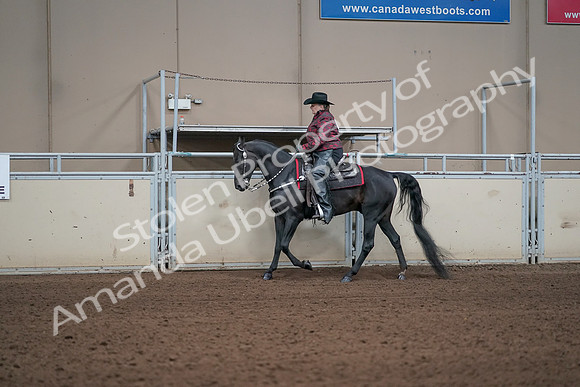 2019 Morgan Horse Show - Aug 31, 2019 - 10604