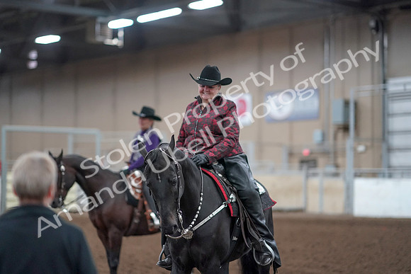 2019 Morgan Horse Show - Aug 31, 2019 - 10794