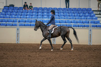 2020 - AB Morgan Horse - Sat, Sept 05 - 01179