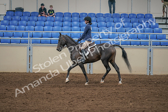 2020 - AB Morgan Horse - Sat, Sept 05 - 01179
