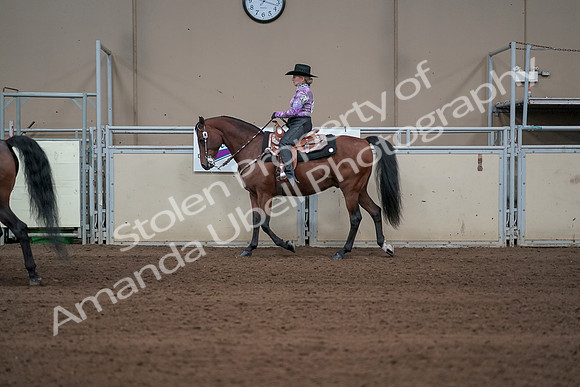 2019 Morgan Horse Show - Sept 01, 2019 - 06886