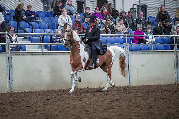Spring Fling - Saturday - April 20, 2019  -  00728