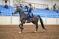 2020 - AB Morgan Horse - Sat, Sept 05 - 02616