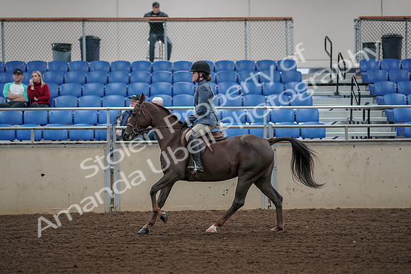 2019 Morgan Horse Show - Aug 31, 2019 - 05126
