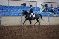 2019 Morgan Horse Show - Aug 30, 2019 - 18288