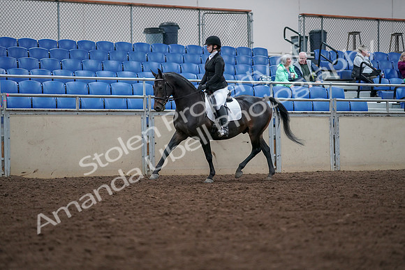 2019 Morgan Horse Show - Aug 30, 2019 - 18288