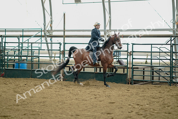 July 21, 2019 - 01712