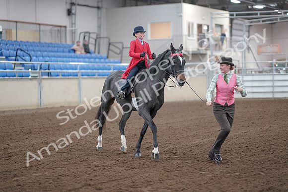 2019 Morgan Horse Show - Sept 01, 2019 - 10679