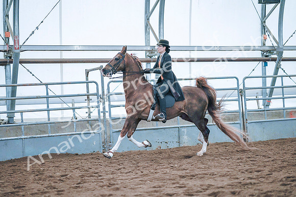 July 20, 2019 - 24037