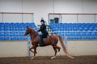 2019 Morgan Horse Show - Aug 30, 2019 - 21404