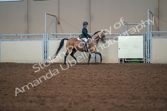 2019 Morgan Horse Show - Aug 30, 2019 - 20785
