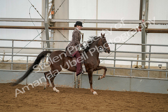 July 20, 2019 - 04558