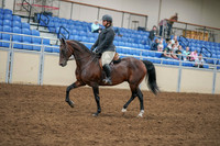 2020 - AB Morgan Horse - Sat, Sept 05 - 09310